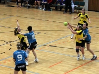 Spieltag 09.01.2010 - Halbfinale