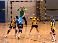 Spieltag 09.01.2010 - Halbfinale