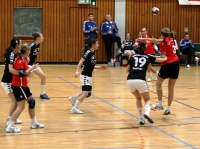 Spieltag 09.01.2010 - Halbfinale