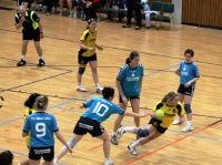 Spieltag 09.01.2010 - Halbfinale