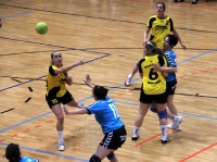 Spieltag 09.01.2010 - Halbfinale