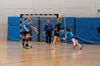 Spieltag 02.01.17_123