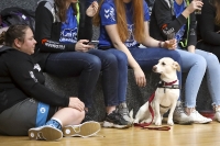 Spieltag 11.01.20 (Foto: Reiner Knapp)