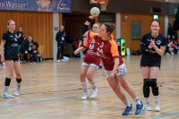 Spieltag 03.01.25 Spiel 8: HSG Dilltal / KSG Bieber(Fotos: Jörg Förster)