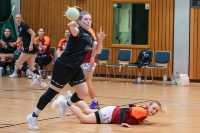 Spieltag 03.01.25 Spiel 8: HSG Dilltal / KSG Bieber(Fotos: Jörg Förster)