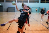 Spieltag 03.01.25 Spiel 8: HSG Dilltal / KSG Bieber(Fotos: Jörg Förster)