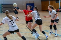 Spieltag 10.01.25 Spiel 24: HSG Linden / HSG Wettenberg (Fotos: Reiner Knapp)