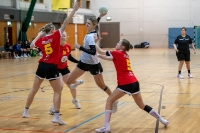 Spieltag 10.01.25 Spiel 24: HSG Linden / HSG Wettenberg (Fotos: Reiner Knapp)