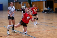 Spieltag 10.01.25 Spiel 24: HSG Linden / HSG Wettenberg (Fotos: Reiner Knapp)