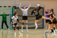 Spieltag 11.01.25 Spiel 28:  KSG Bieber / HSG Linden (Fotos: Reiner Knapp)