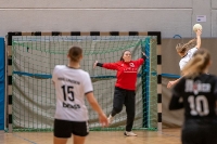 Spieltag 11.01.25 Spiel 28: KSG Bieber / HSG Linden (Fotos: Reiner Knapp und Jörg Förster)