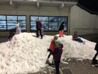 08.12.2018 - Eissporthalle Frankfurt