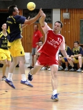 22.08.10 - Handballturnier mit ASSA
