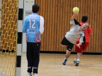 22.08.10 - Handballturnier mit ASSA