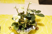 17.12.2016 Vereinsmeisterschaften Tischtennis