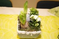 17.12.2016 Vereinsmeisterschaften Tischtennis