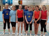 07.+08.06.2008 - Gauturnfest/Gaukinderturnfest