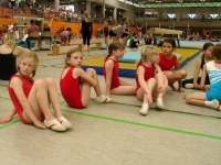 07.+08.06.2008 - Gauturnfest/Gaukinderturnfest