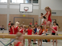 07.+08.06.2008 - Gauturnfest/Gaukinderturnfest