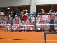 07.+08.06.2008 - Gauturnfest/Gaukinderturnfest