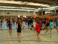 07.+08.06.2008 - Gauturnfest/Gaukinderturnfest