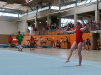 07.+08.06.2008 - Gauturnfest/Gaukinderturnfest