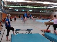 07.+08.06.2008 - Gauturnfest/Gaukinderturnfest