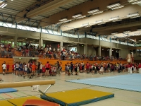 07.+08.06.2008 - Gauturnfest/Gaukinderturnfest