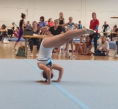 08.09.2018 - 1.Gau-Pokalendrunde 2018