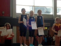 19.06.2011 - Gauturnfest Aßlar