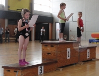 19.06.2011 - Gauturnfest Aßlar