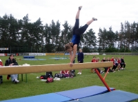 19.+20.06.2010 - Gauturnfest Haiger