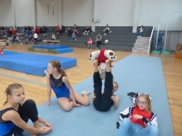 26.10.2019 - Gau-Pokal-Finalrunde