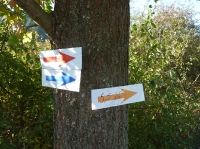 10.10.2010 - Landeswandertag