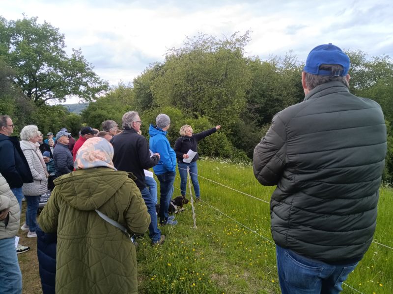 2025 05 16 Leichtathletik Wanderung 800 Jahre Berghausen 2